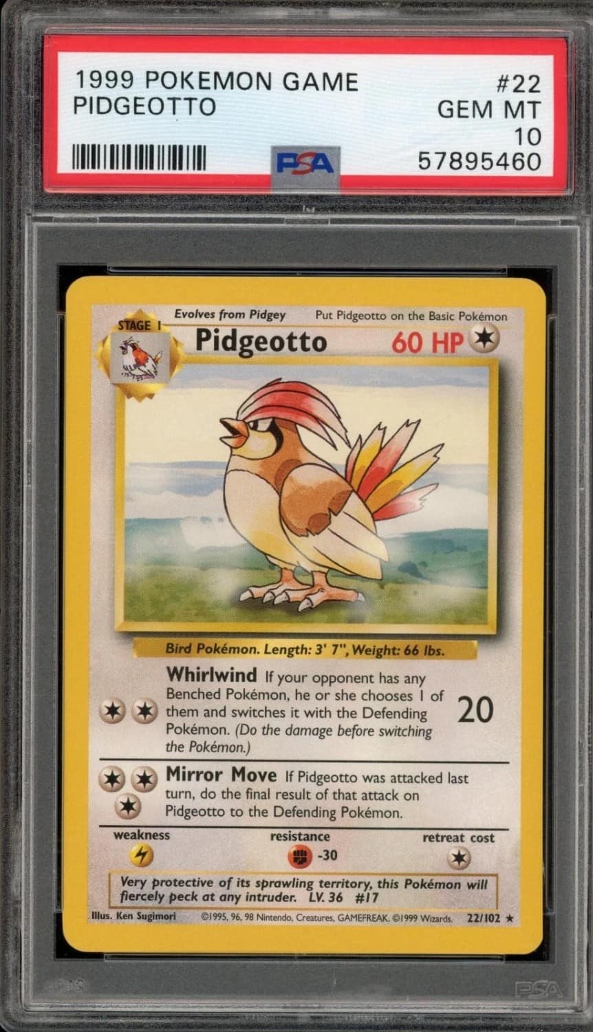 Pidgeotto