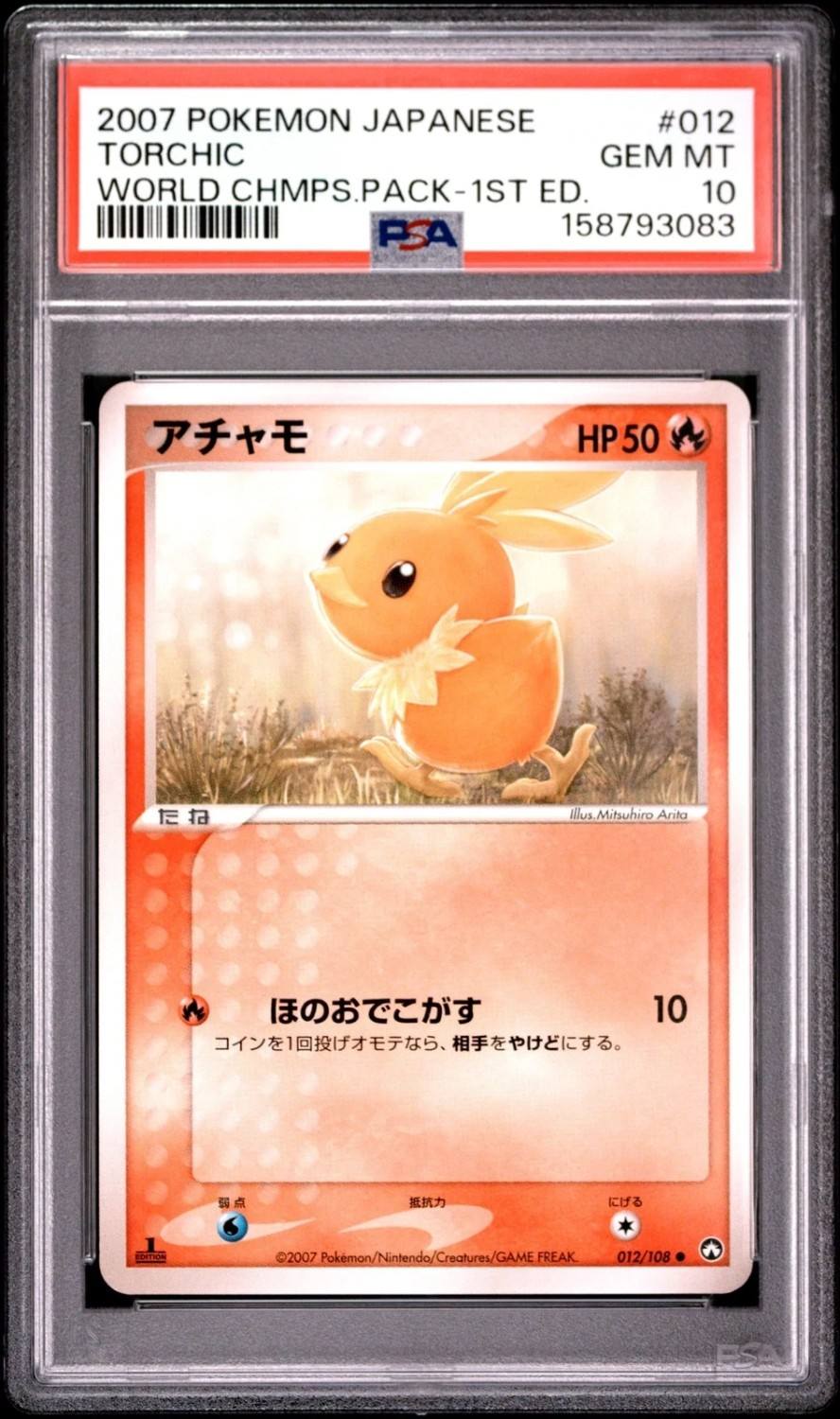 Torchic