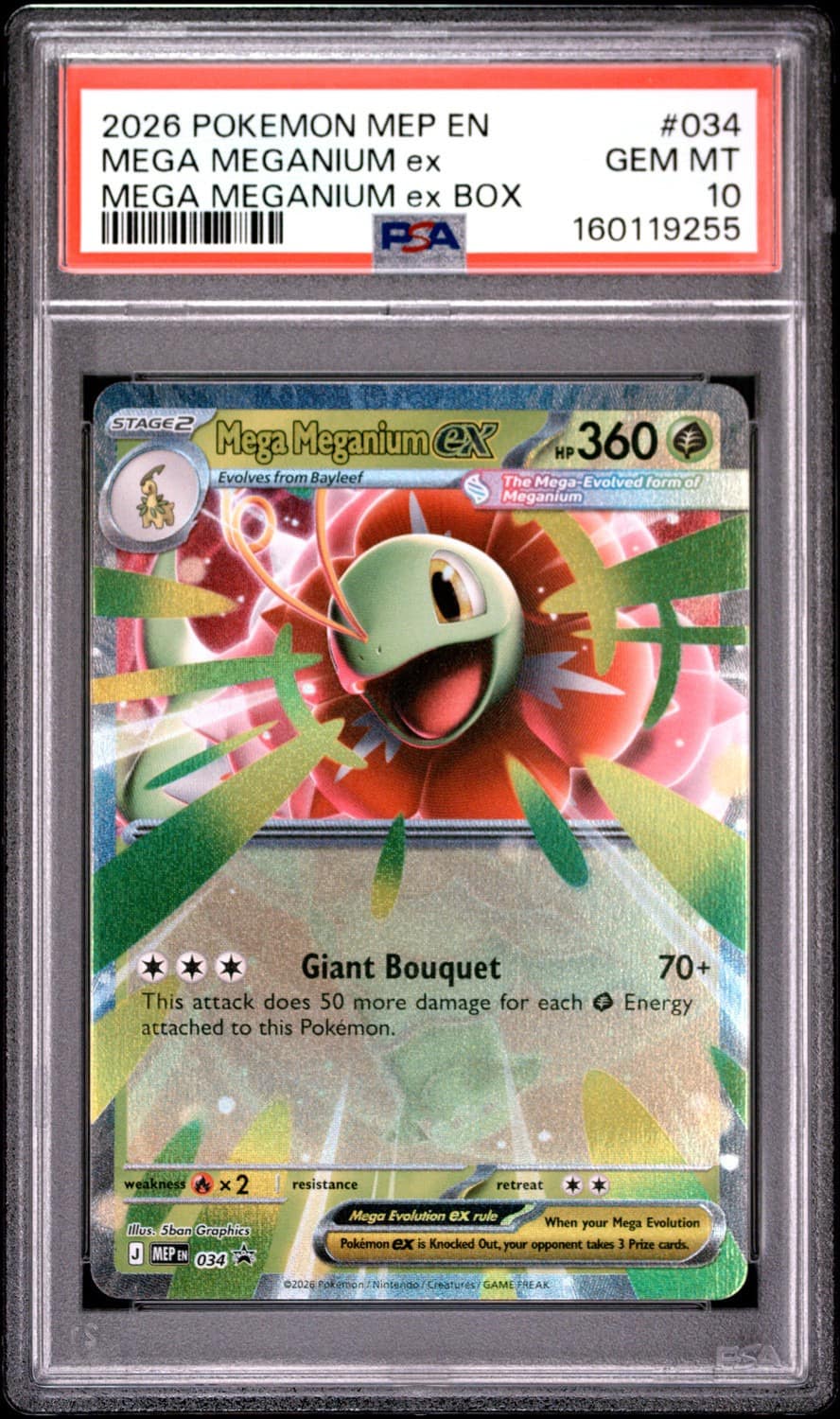Mega Meganium Ex