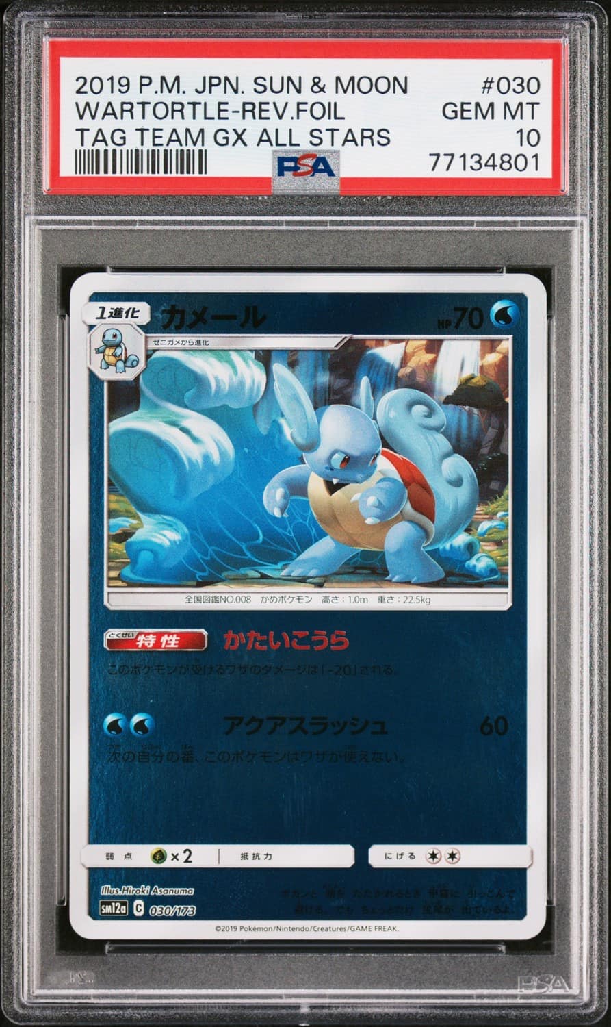 Wartortle