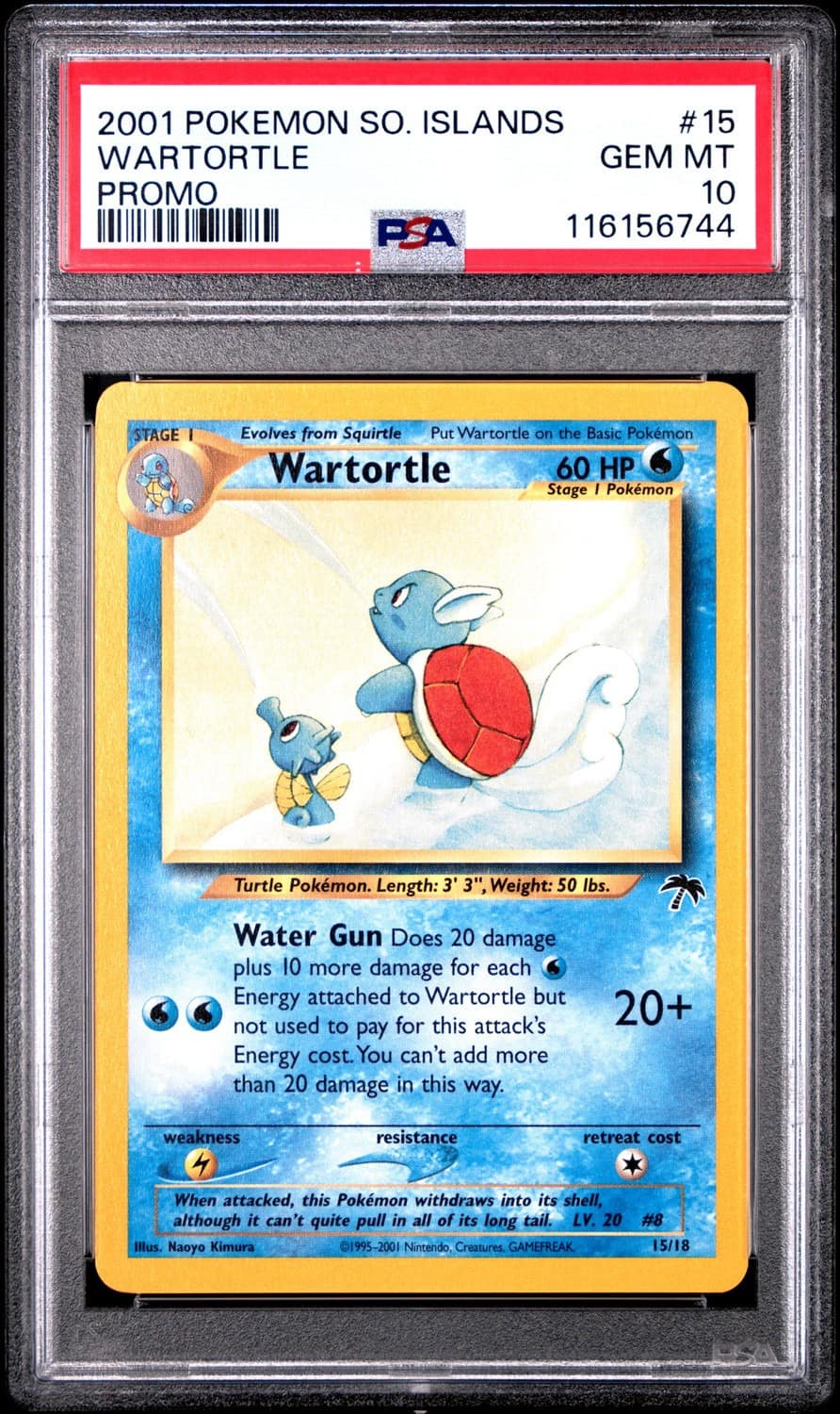 Wartortle