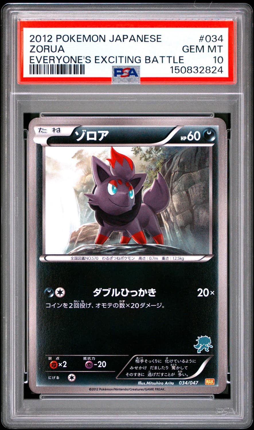 Zorua