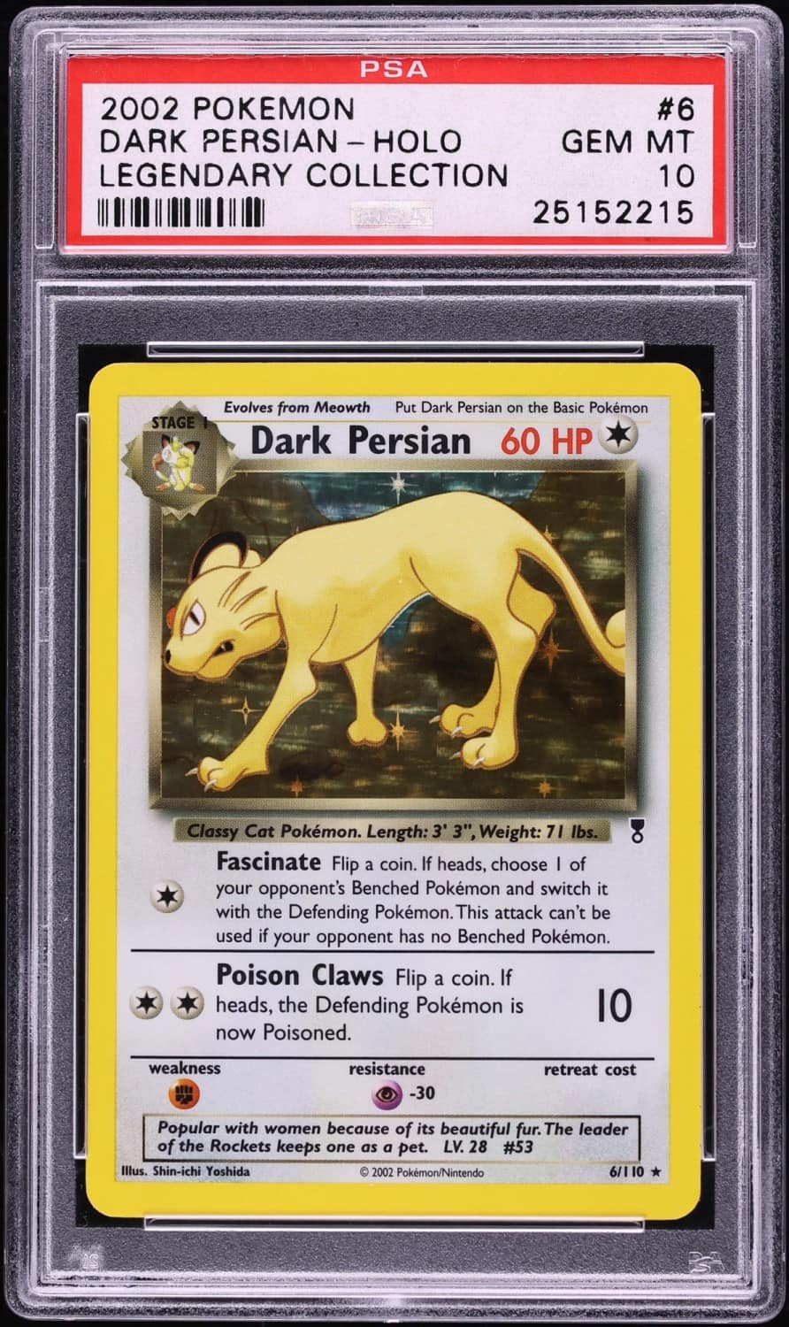 Dark Persian