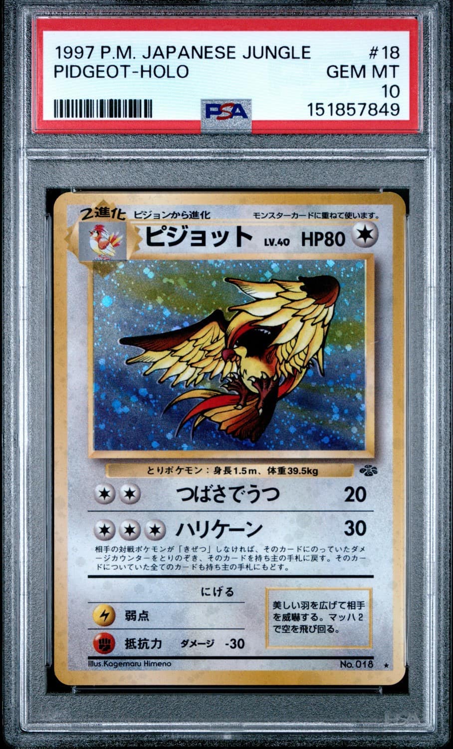 Pidgeot