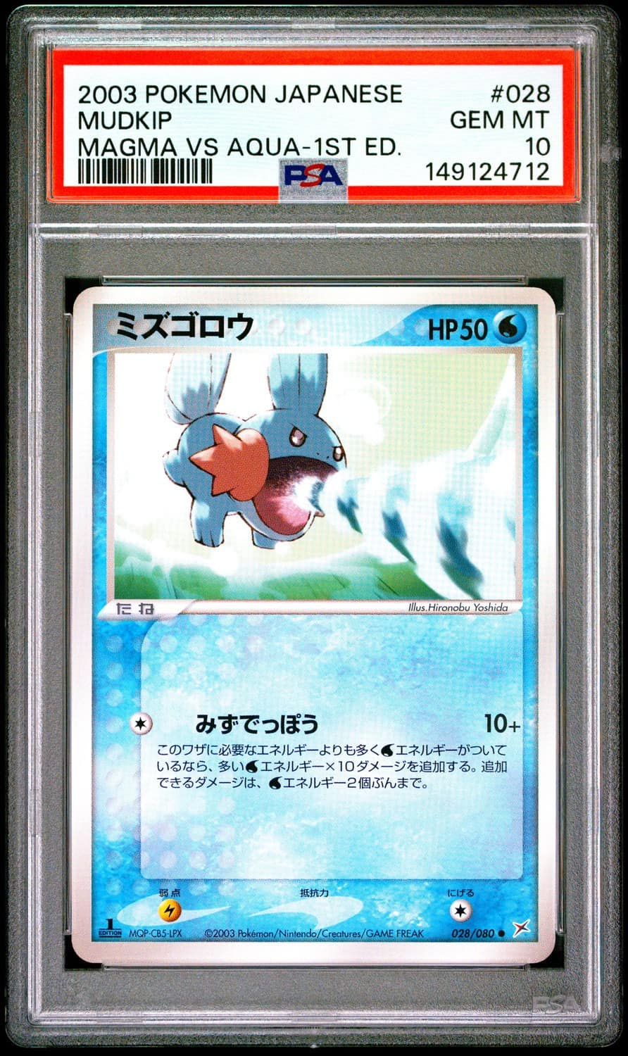 Mudkip