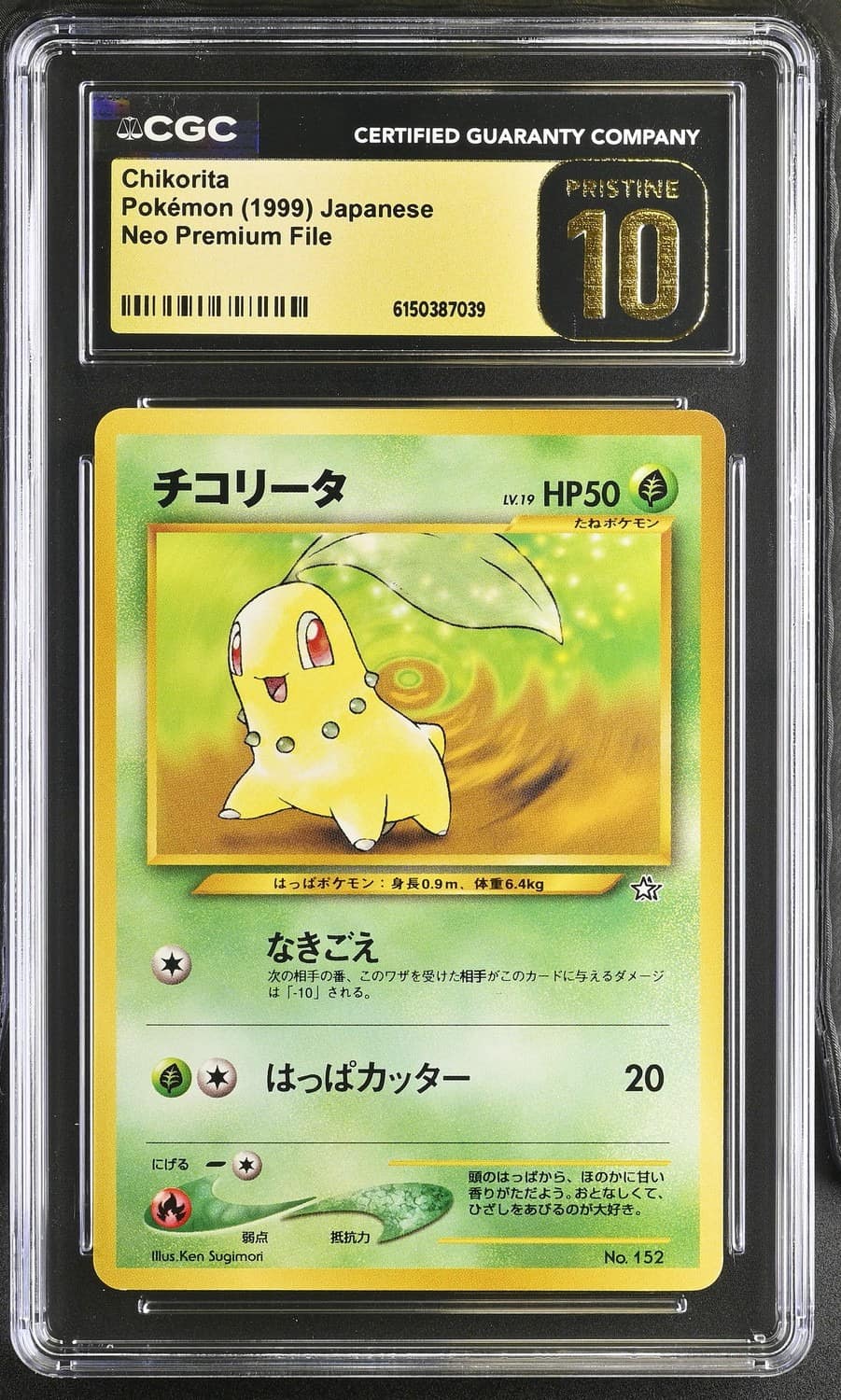 Chikorita