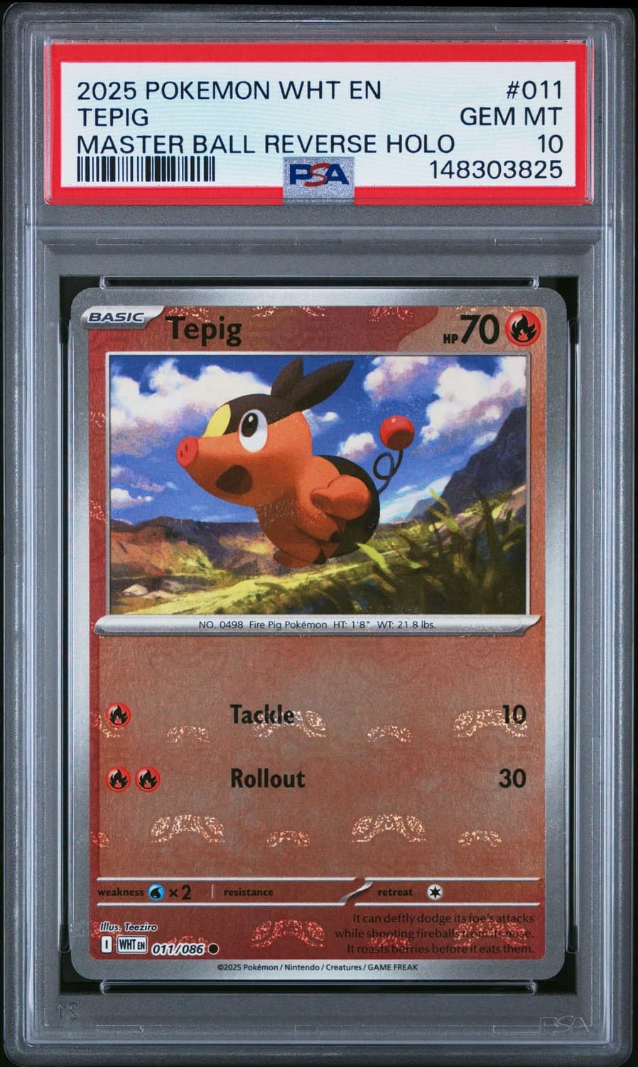 Tepig