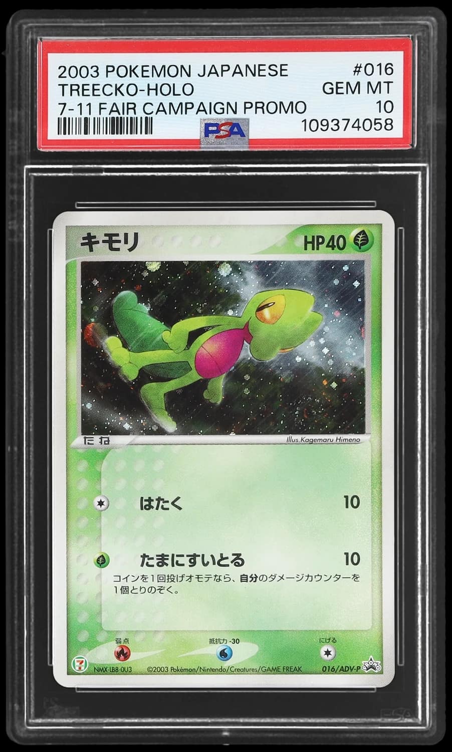 Treecko