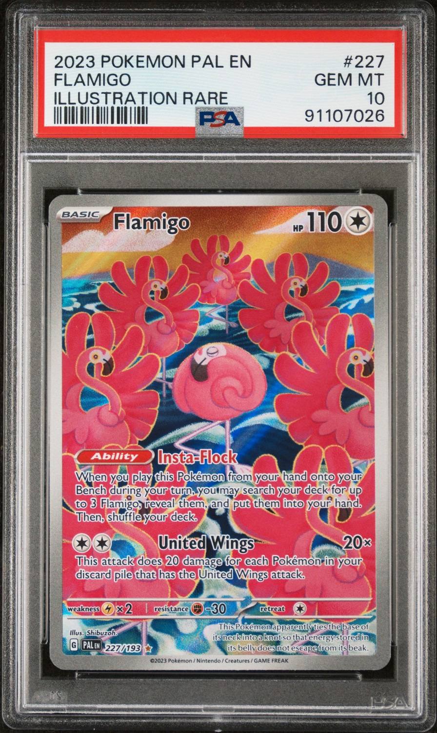 Flamigo
