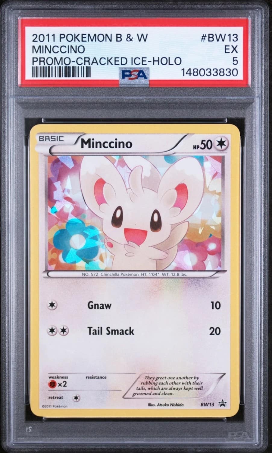 Minccino