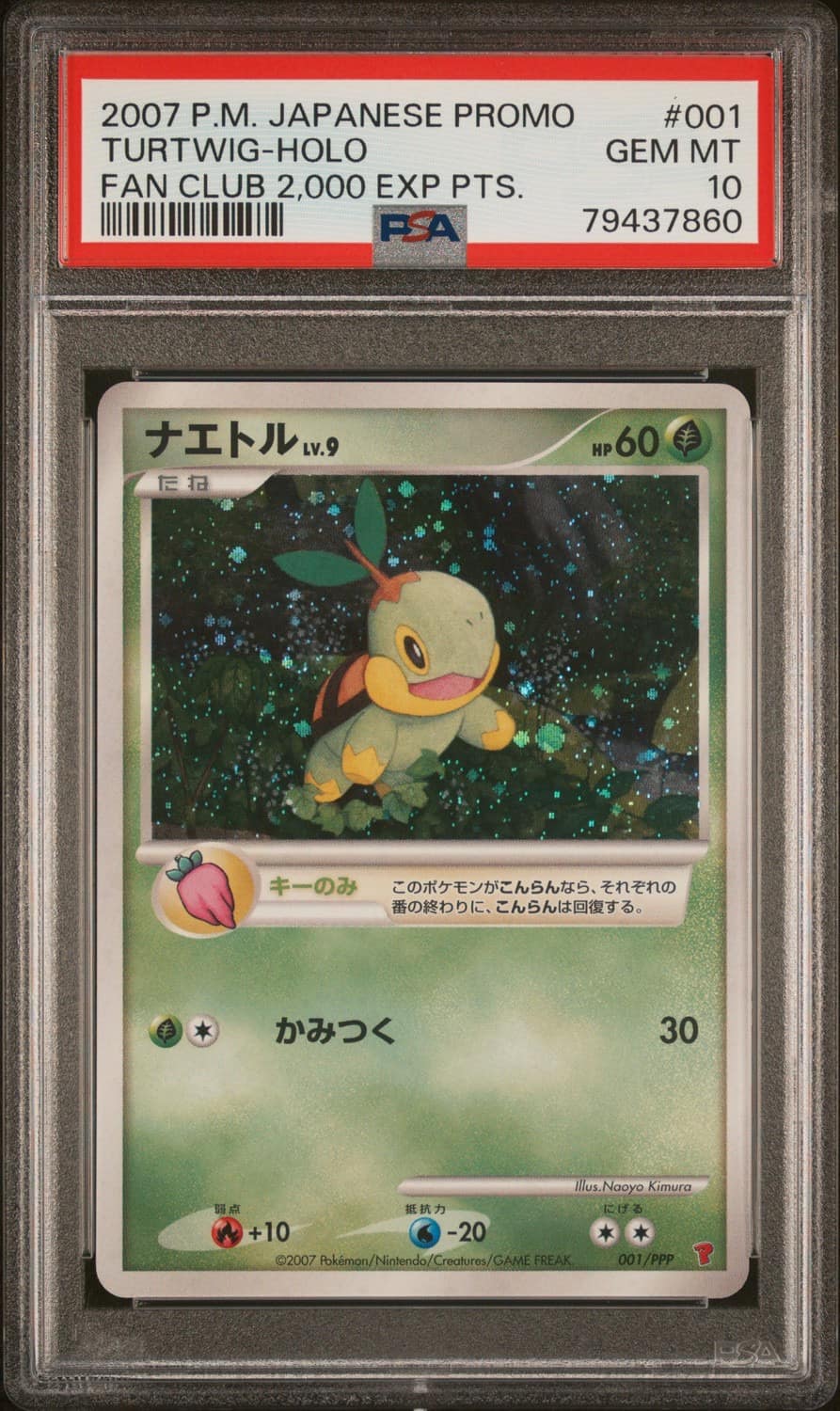 Turtwig