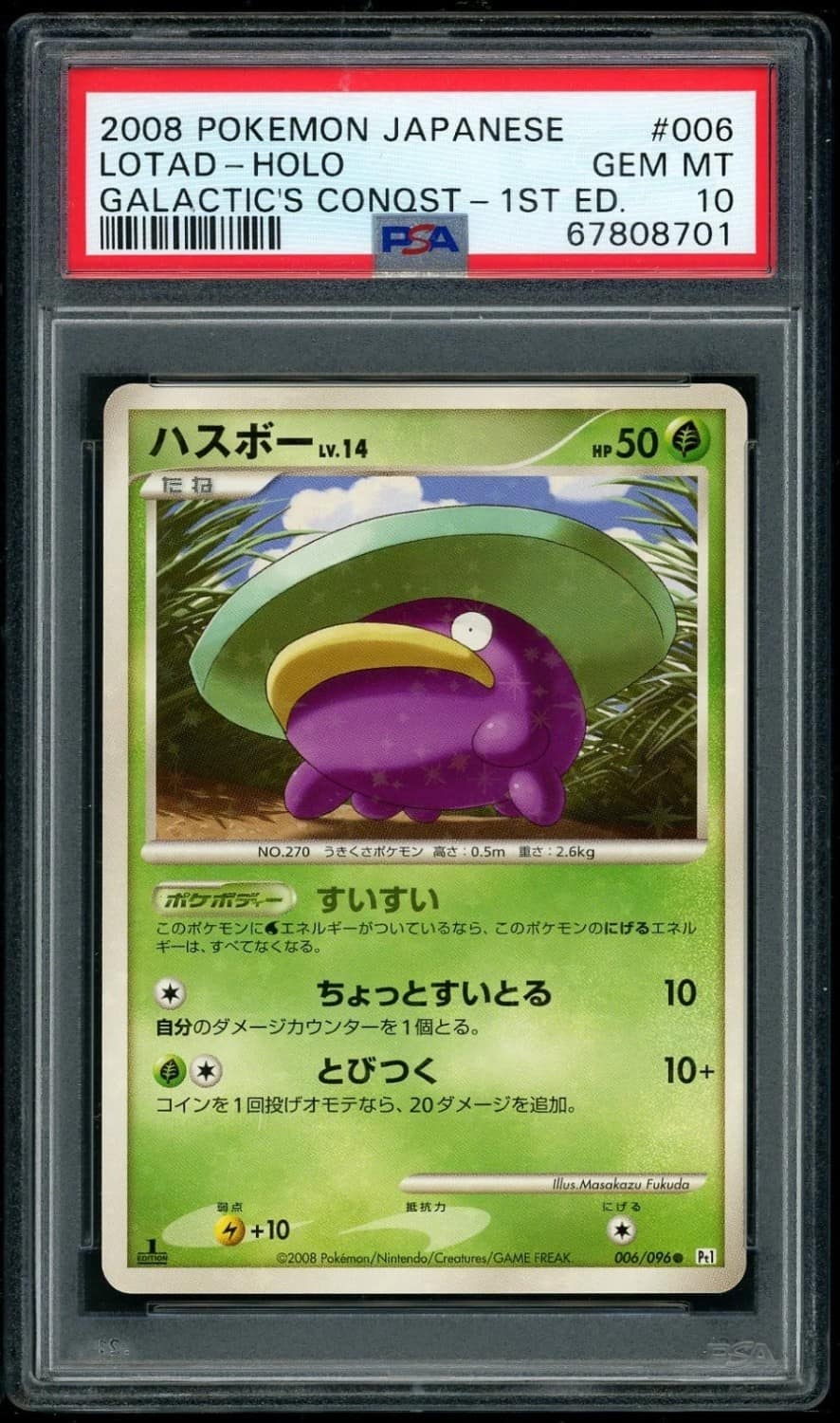 Lotad