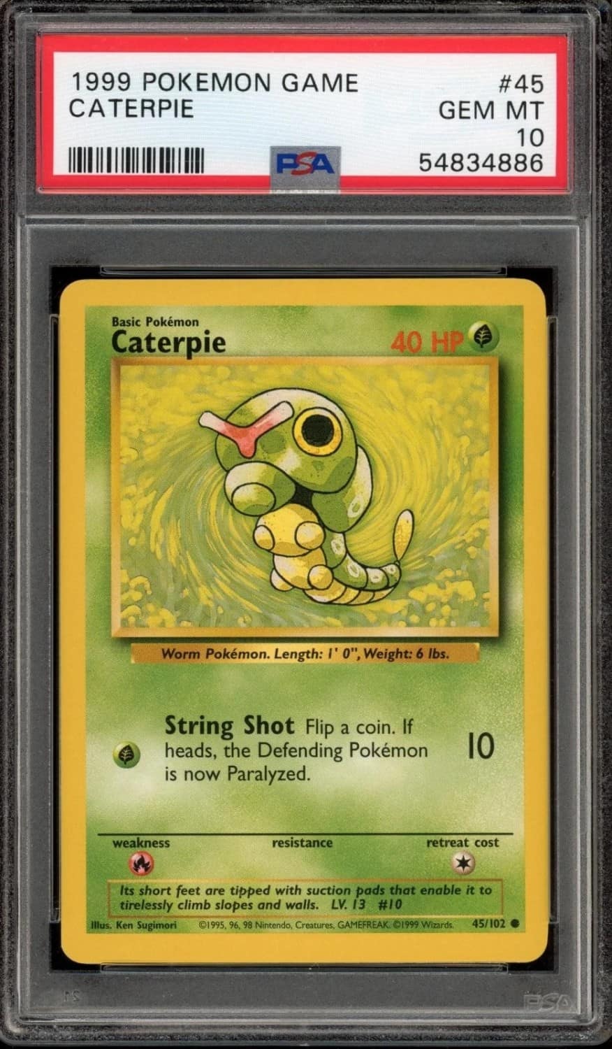 Caterpie