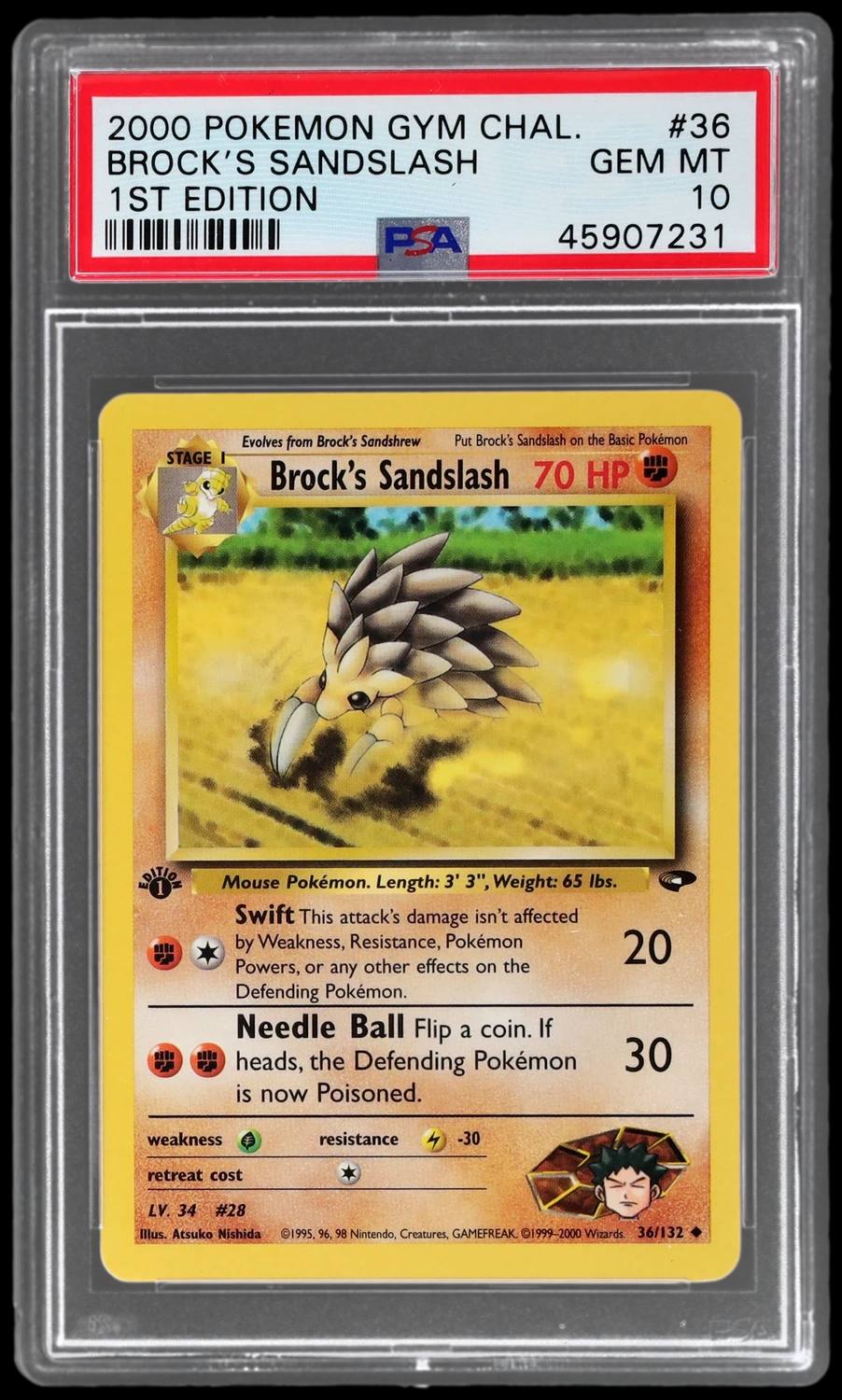 Brock'S Sandslash