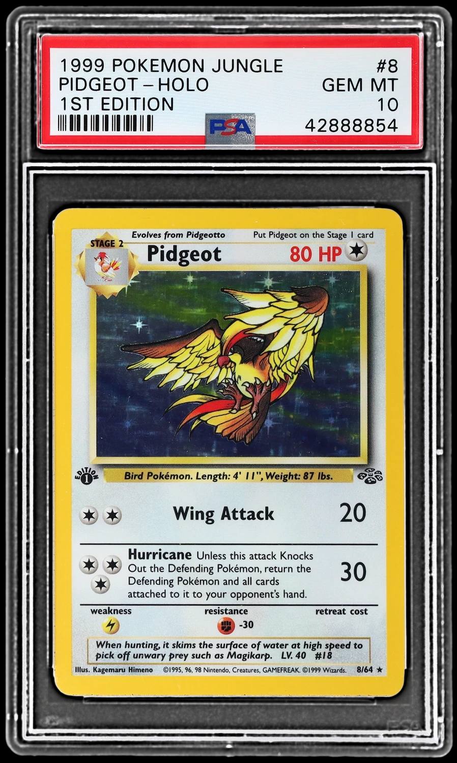Pidgeot
