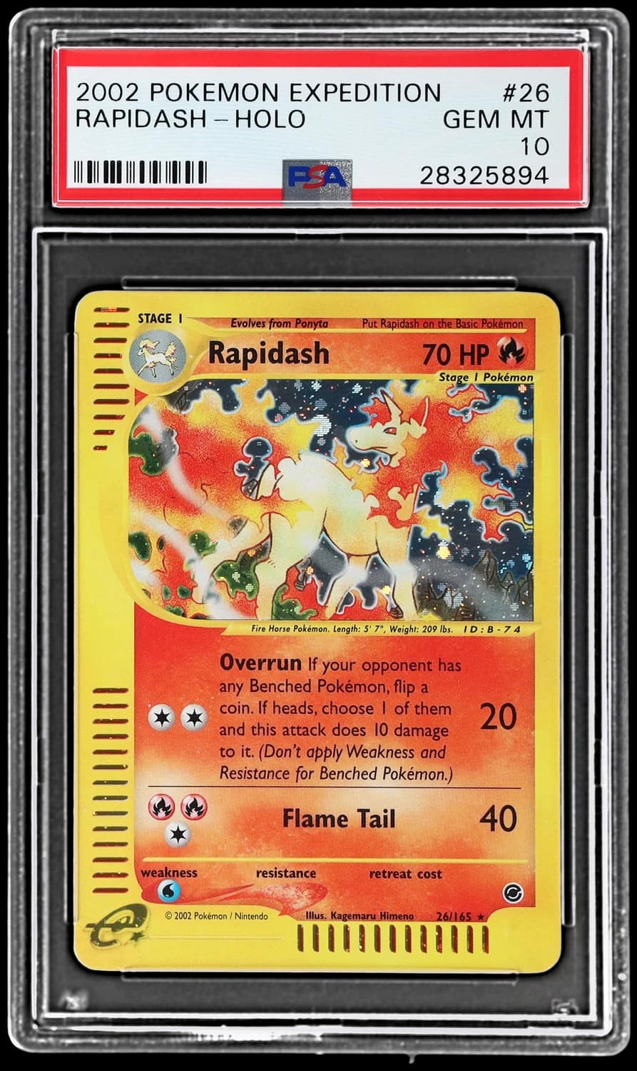 Rapidash
