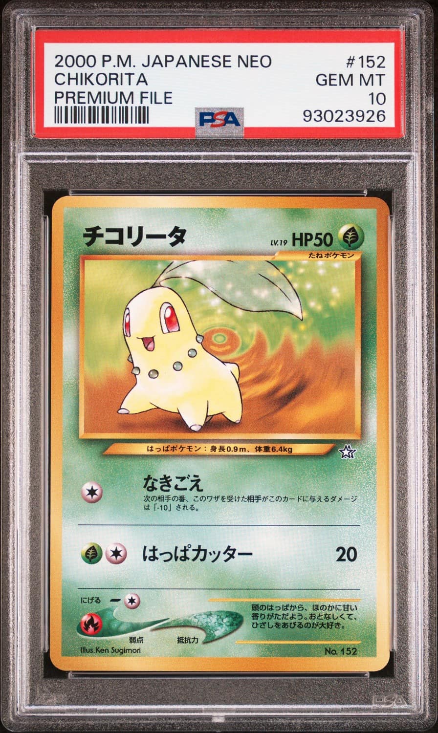 Chikorita