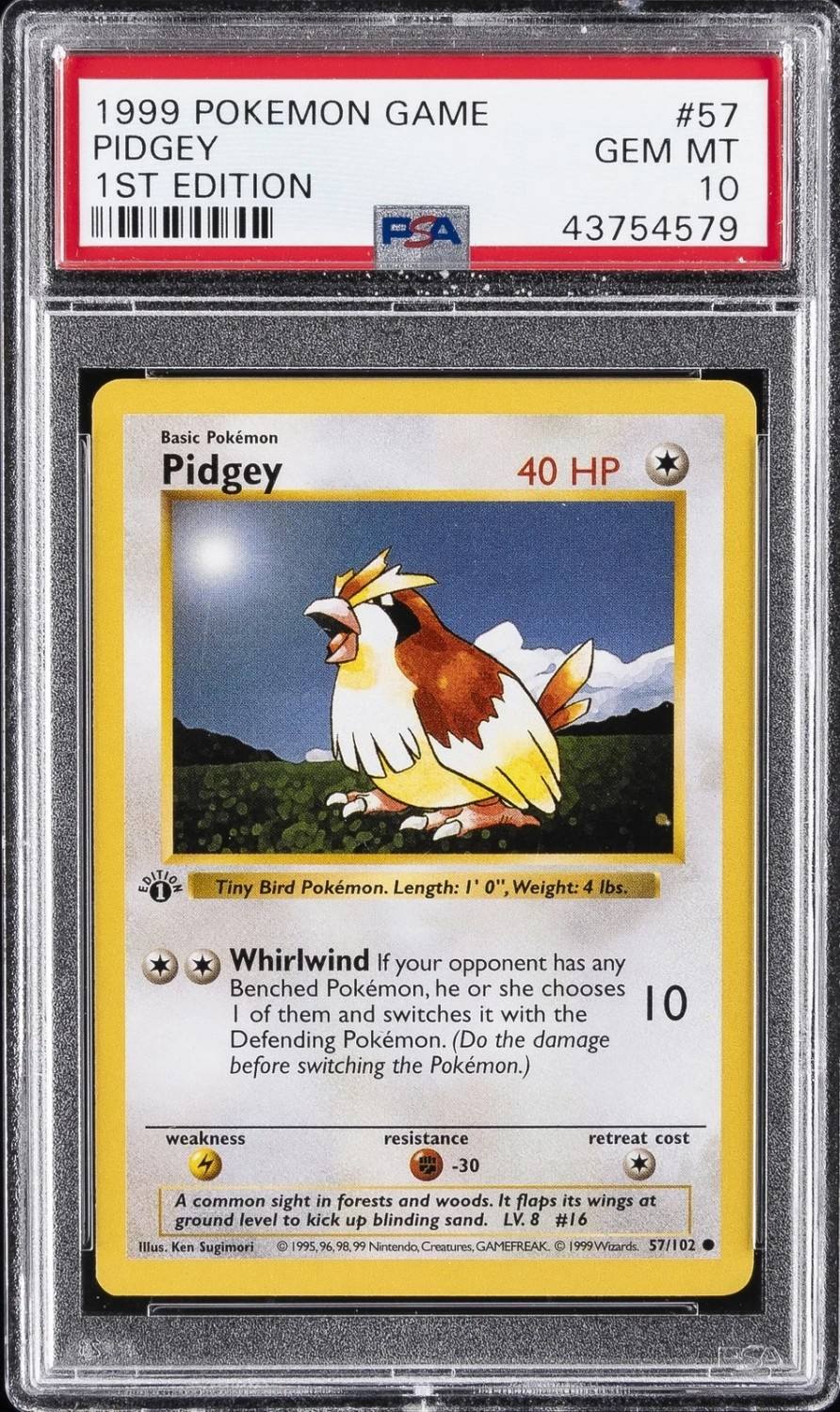 Pidgey