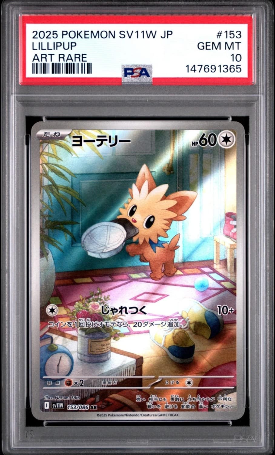 Lillipup