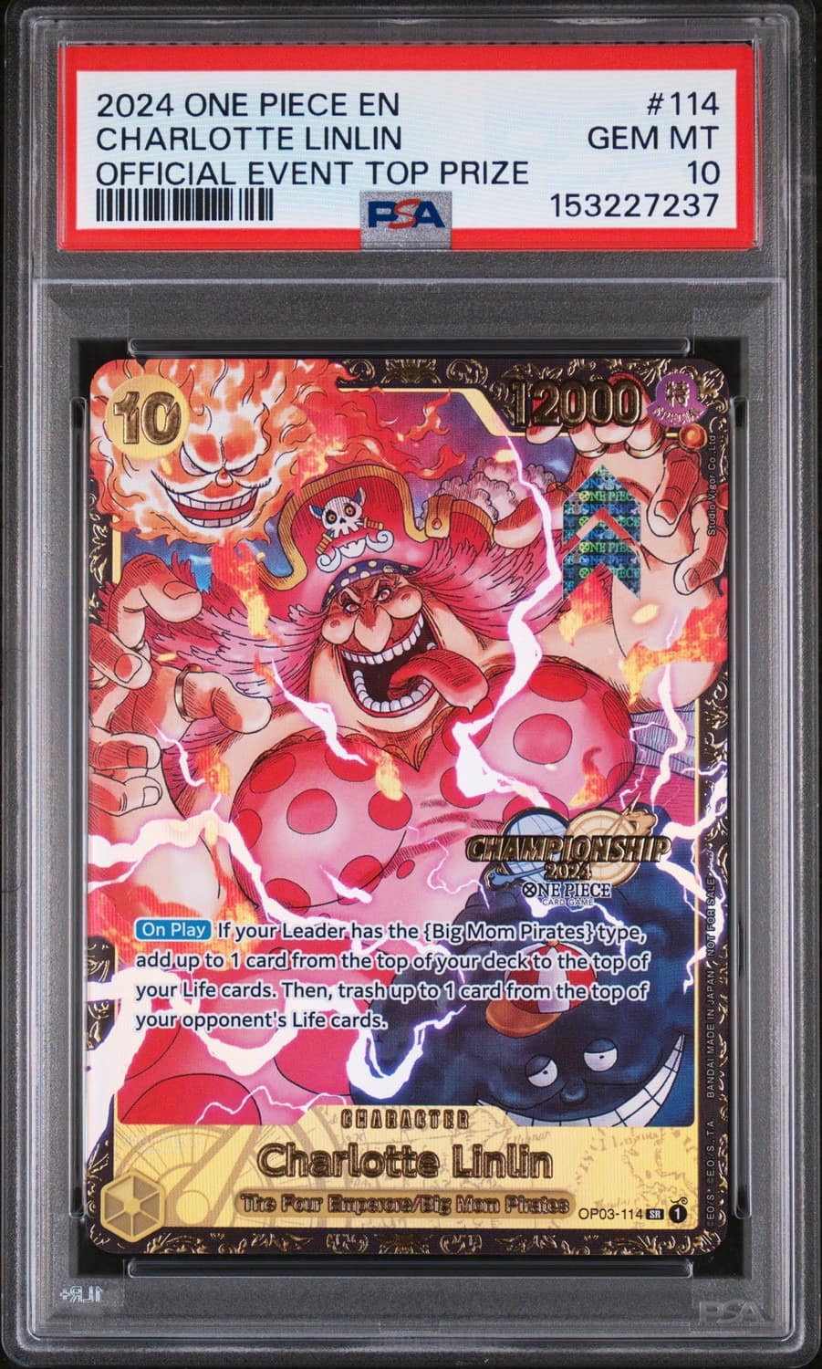 Charlotte Linlin Sr/(regional Top 8 Prize)