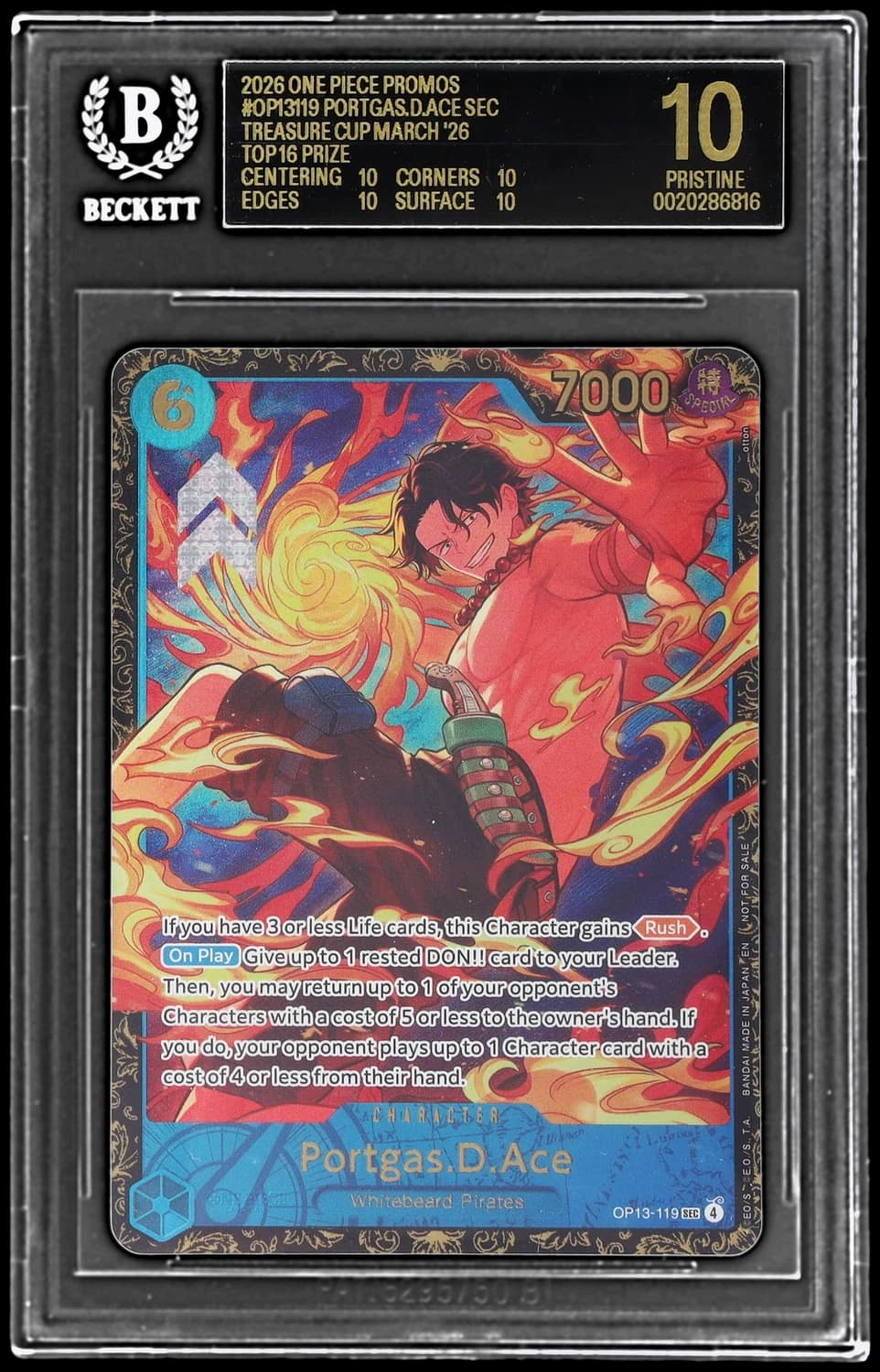 Portgas.d.ace /(treasure Cup March '26 Top 16 Prize)