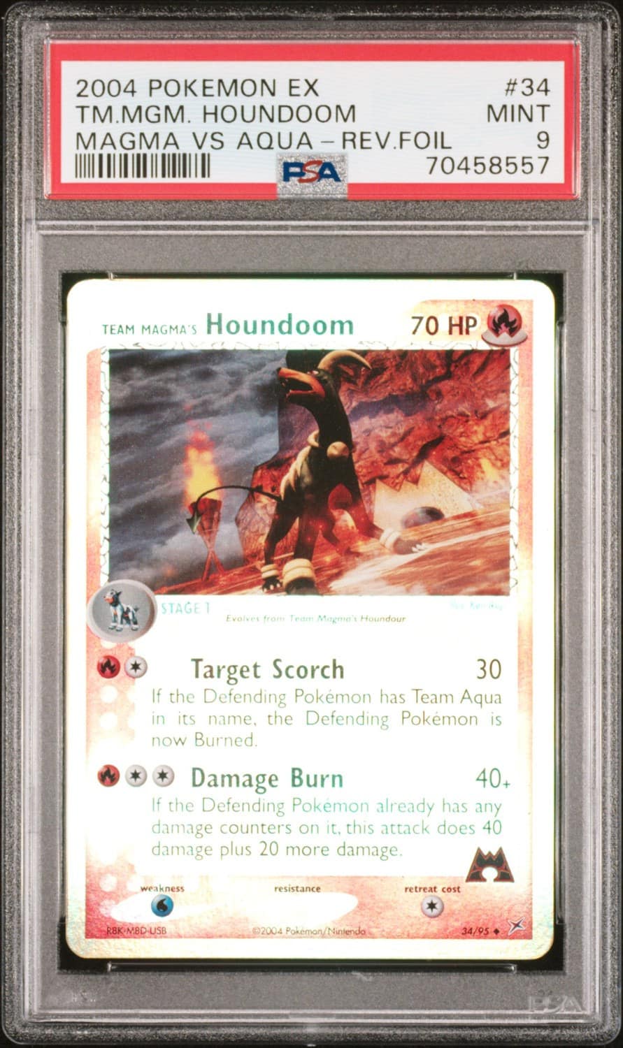 Magma'S Houndoom