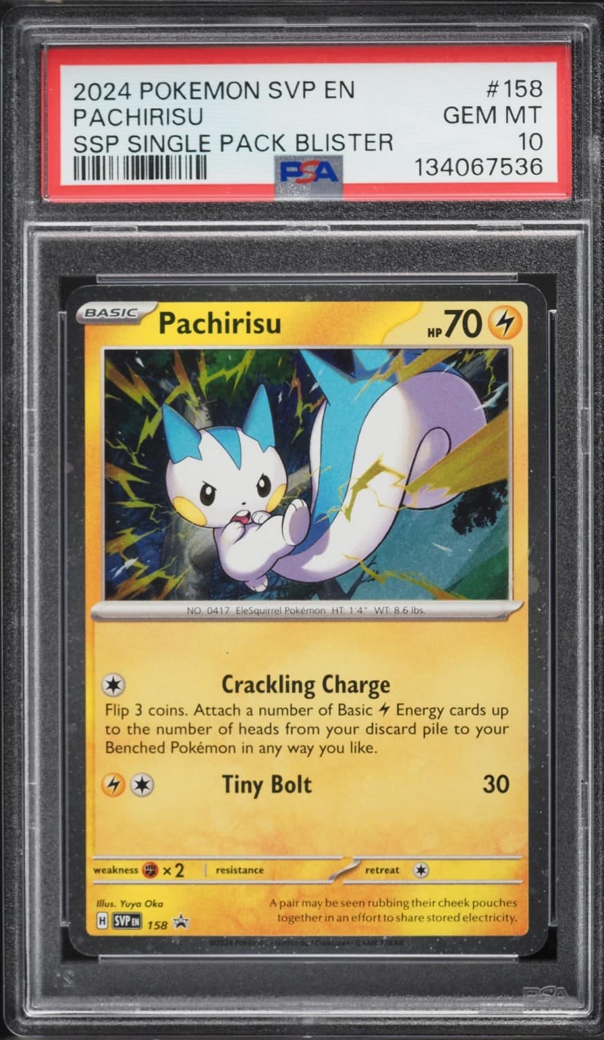 Pachirisu