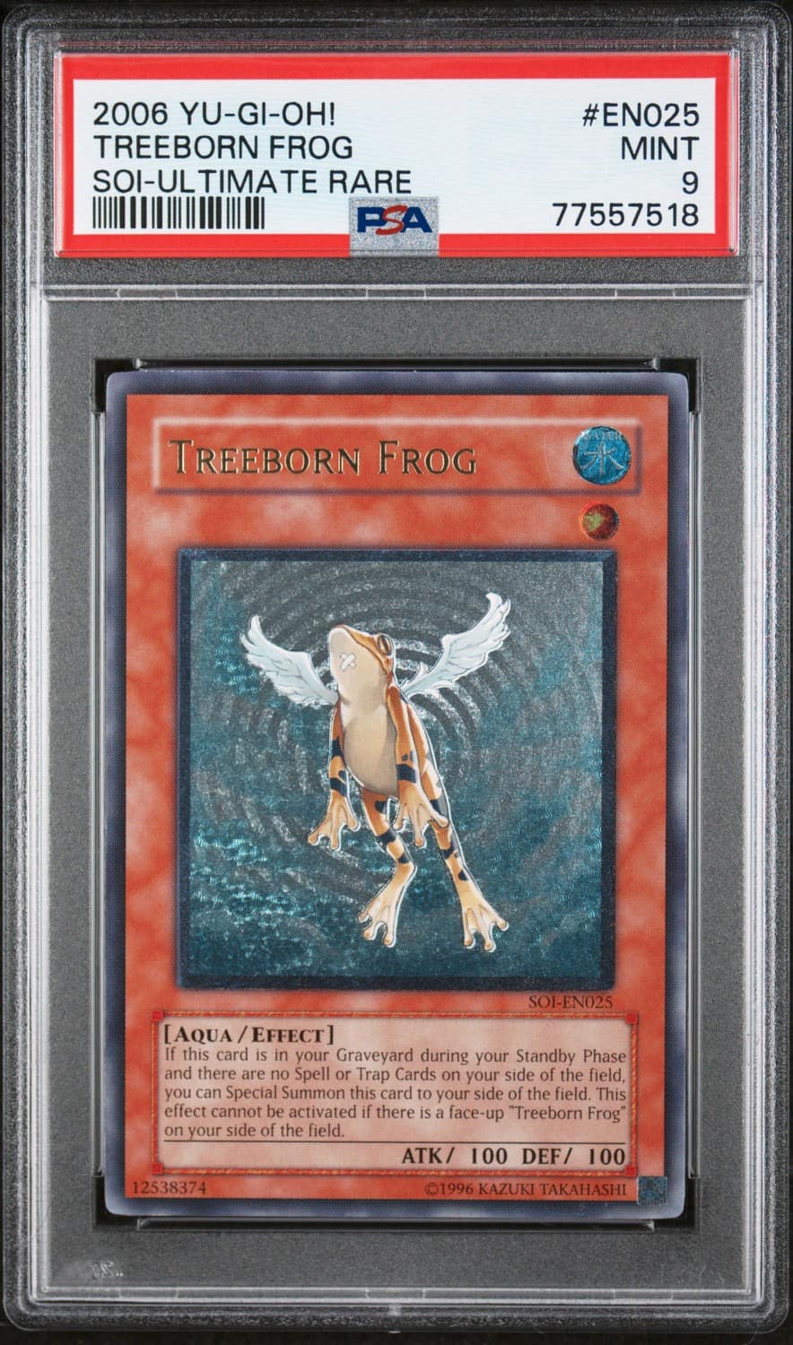 Treeborn Frog
