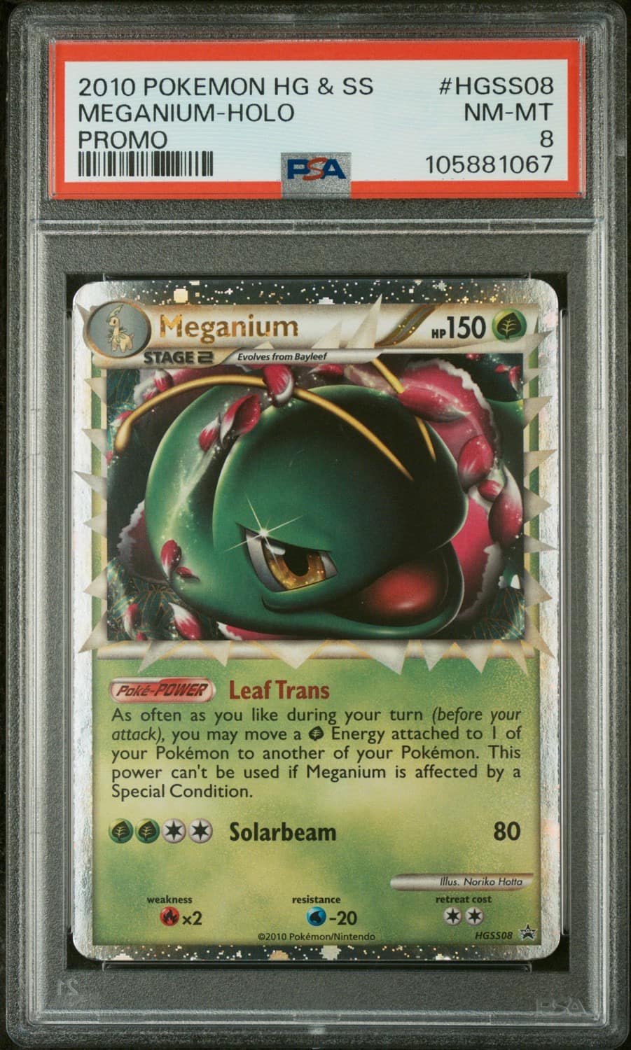 Meganium