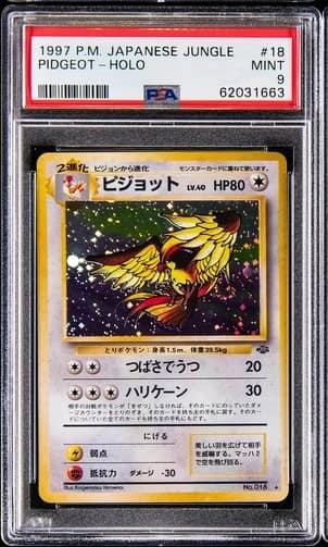 Pidgeot