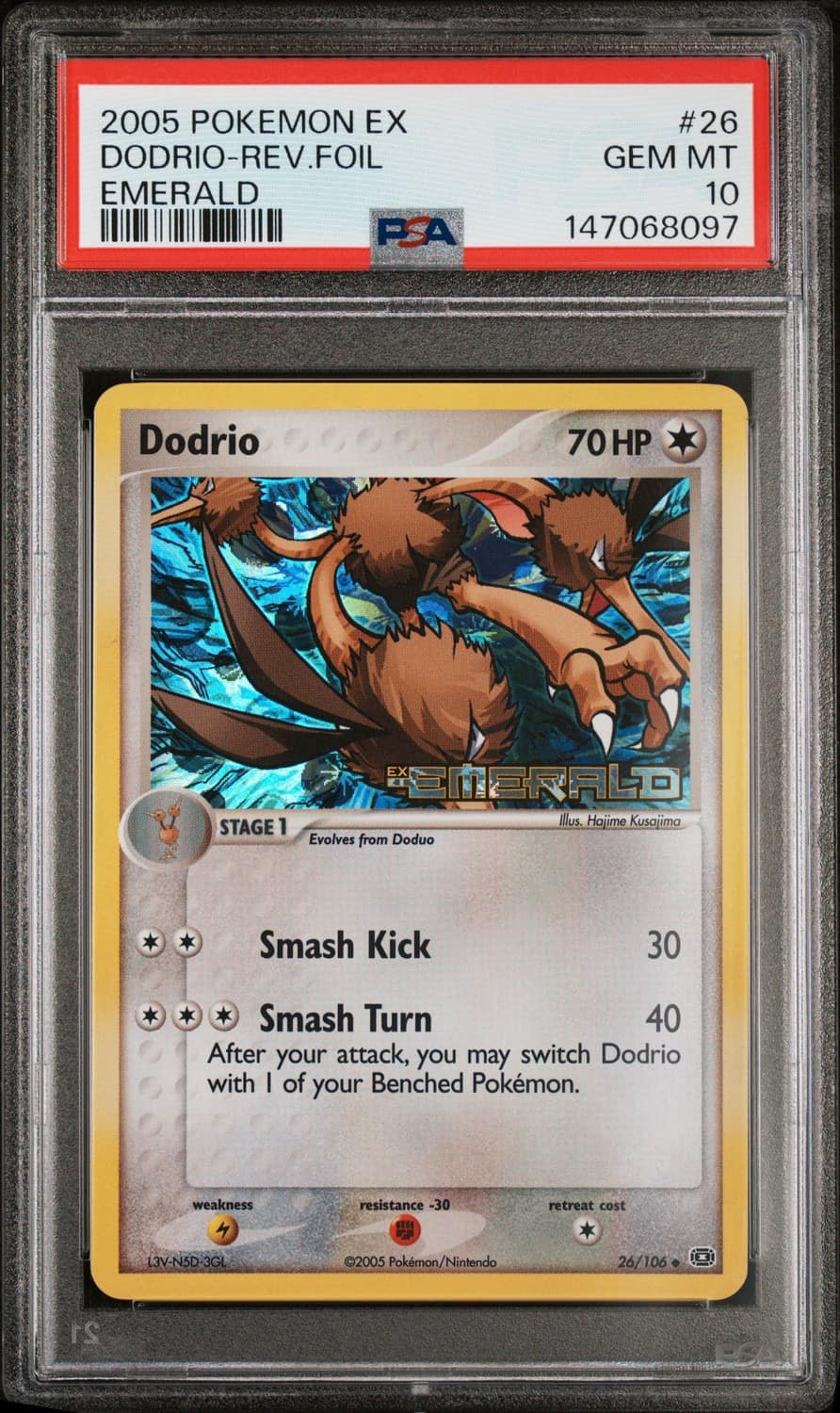 Dodrio