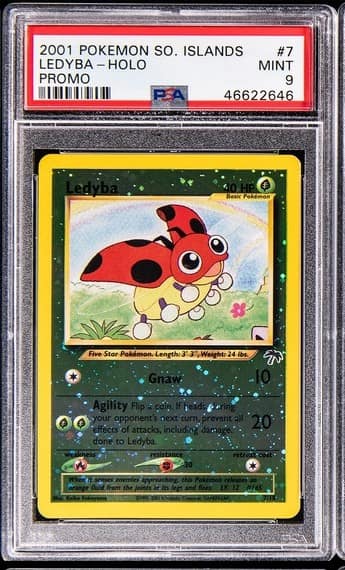 Ledyba