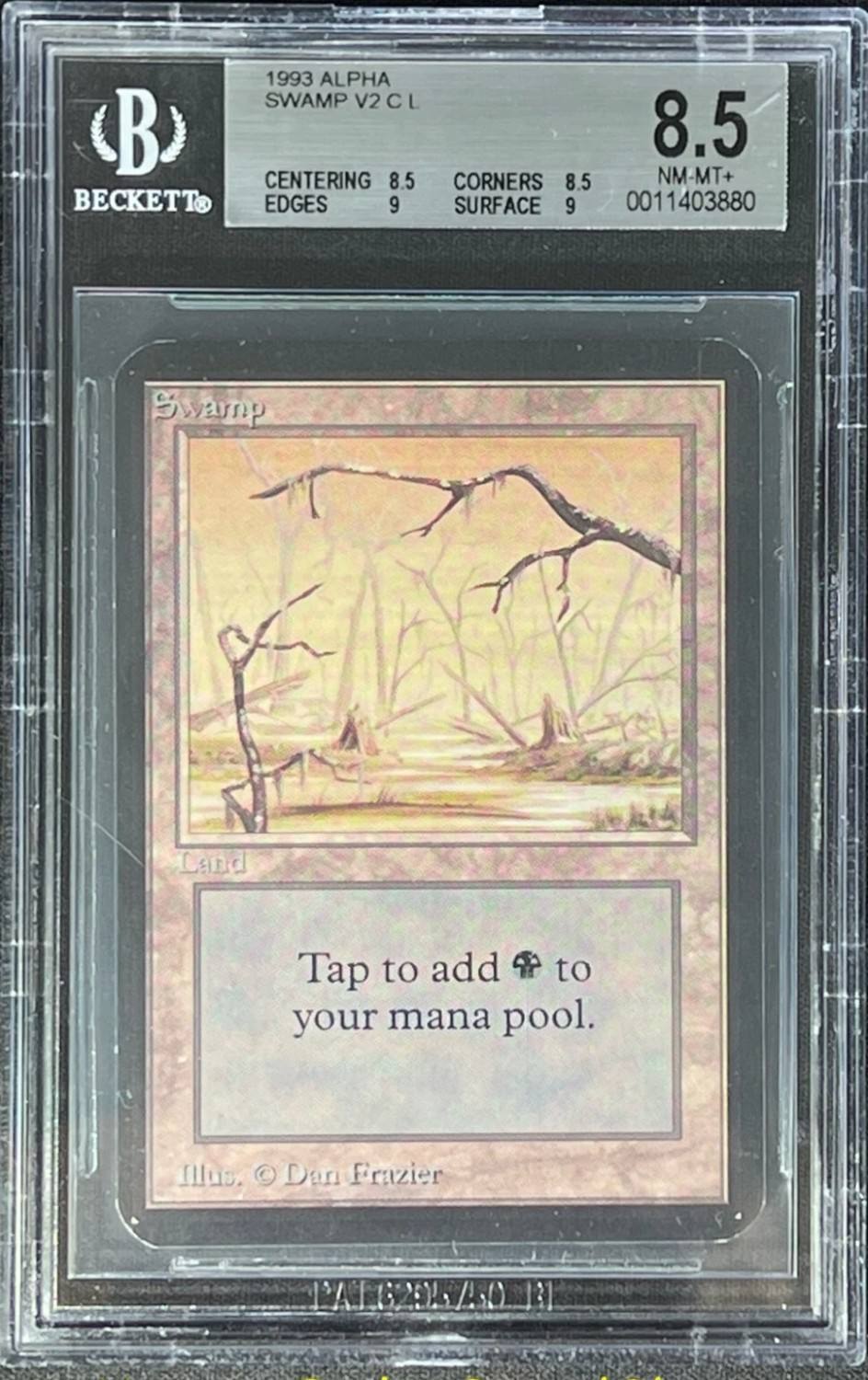 Swamp V2 L