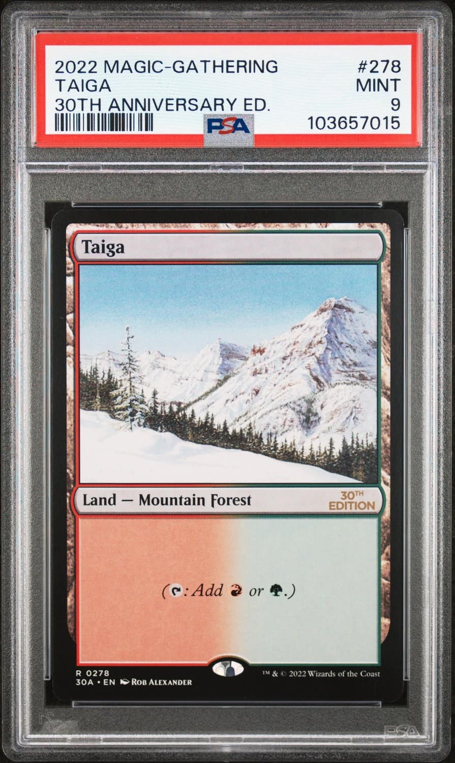 Taiga R