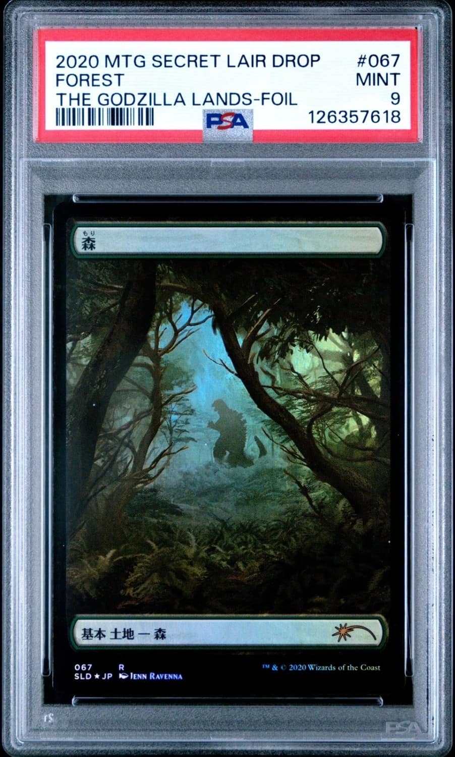 Forest