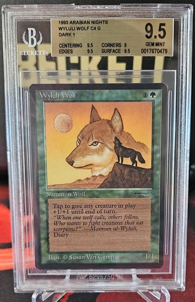 Wyluli Wolf