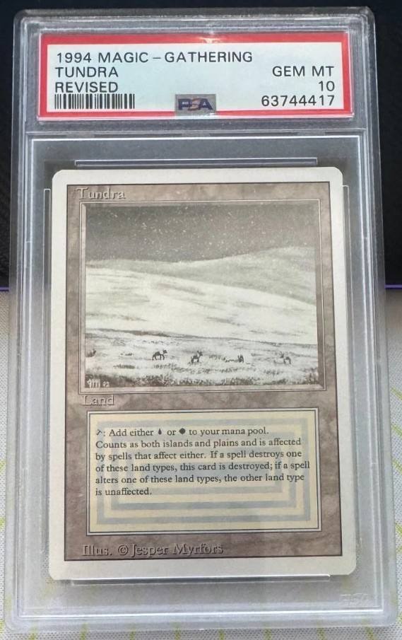 Tundra