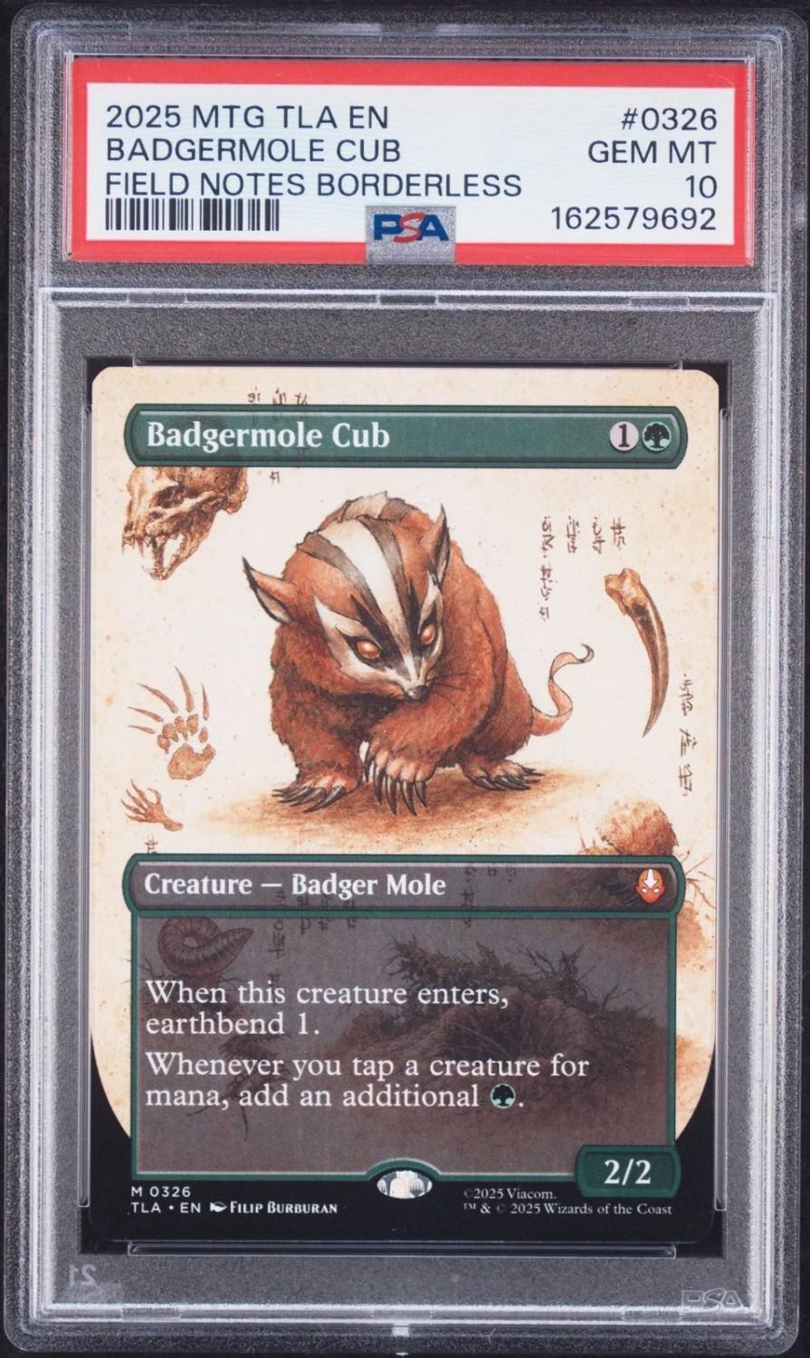 Badgermole Cub