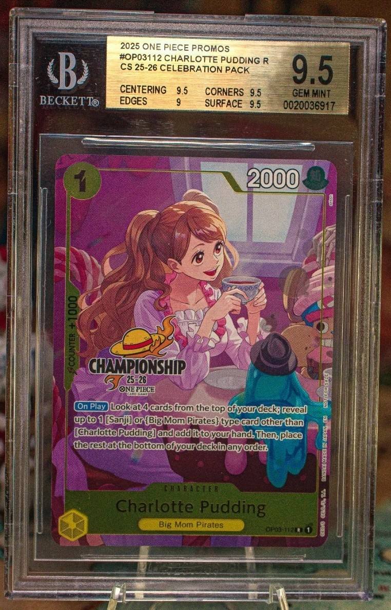 Charlotte Pudding R/(cs 25-26 Celebration Pack)