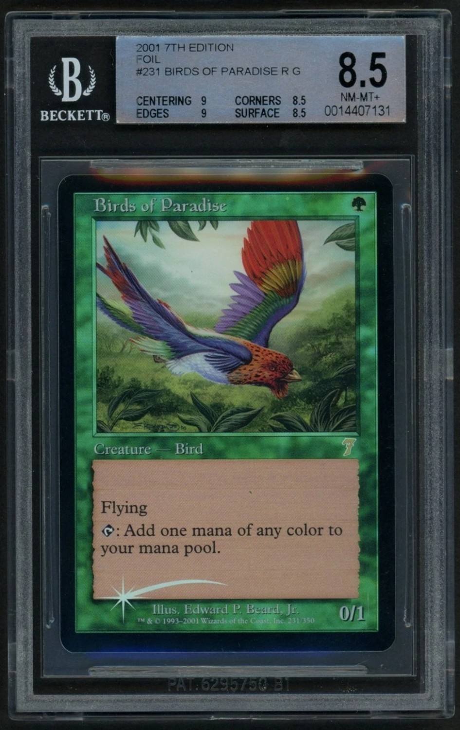 Birds Of Paradise R :g: