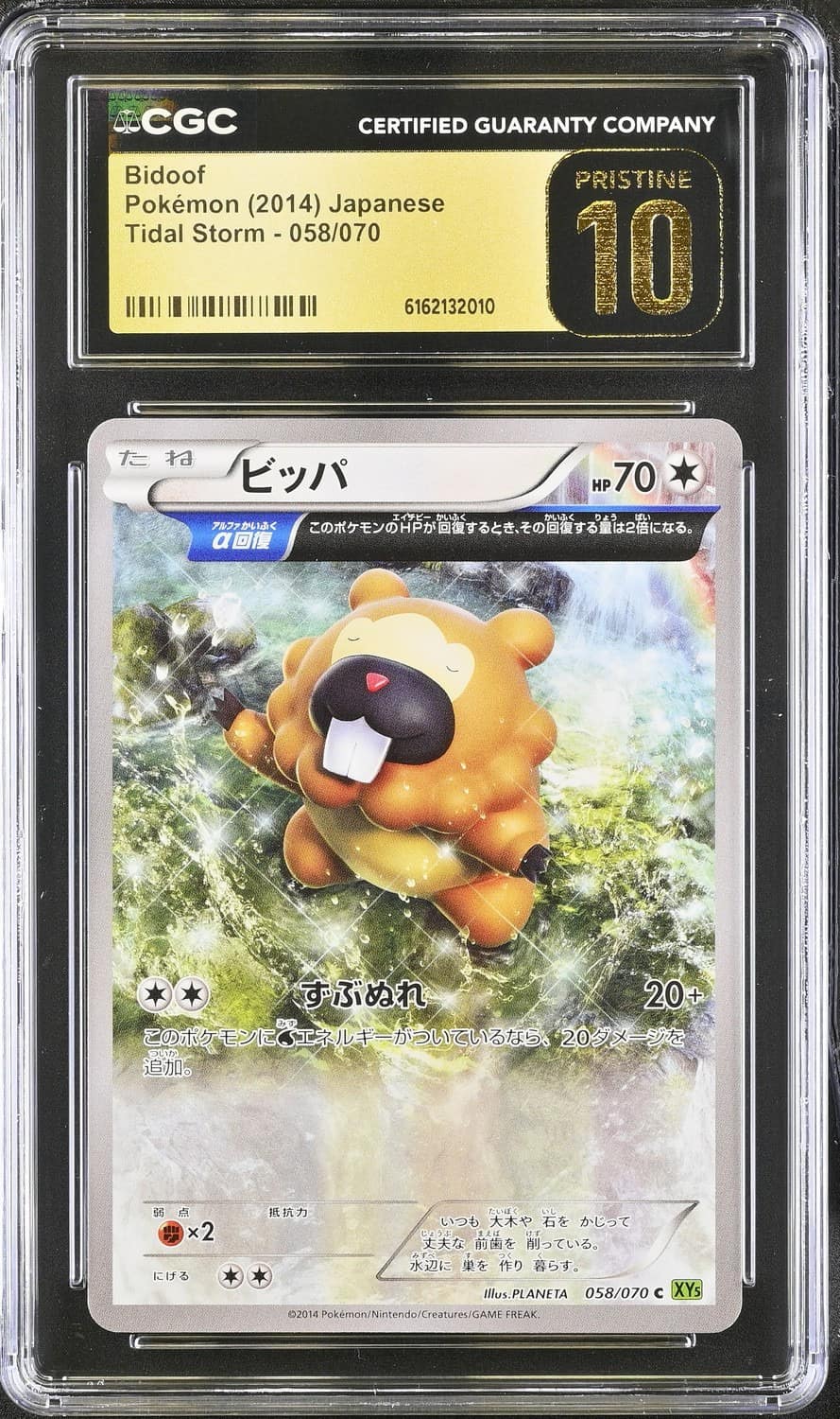 Bidoof