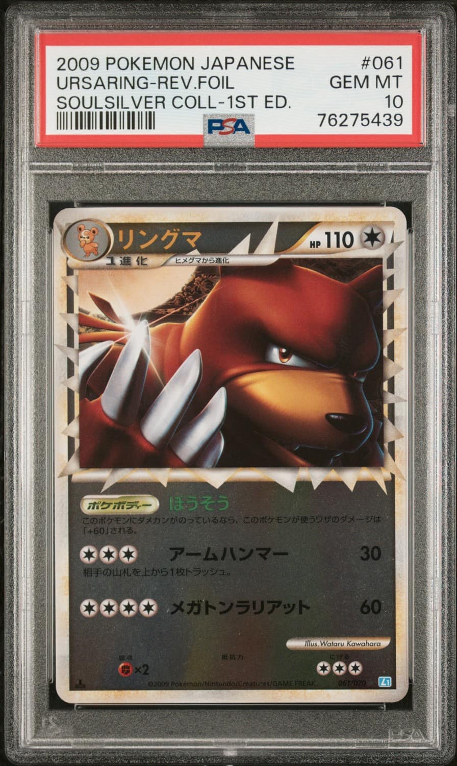 Ursaring