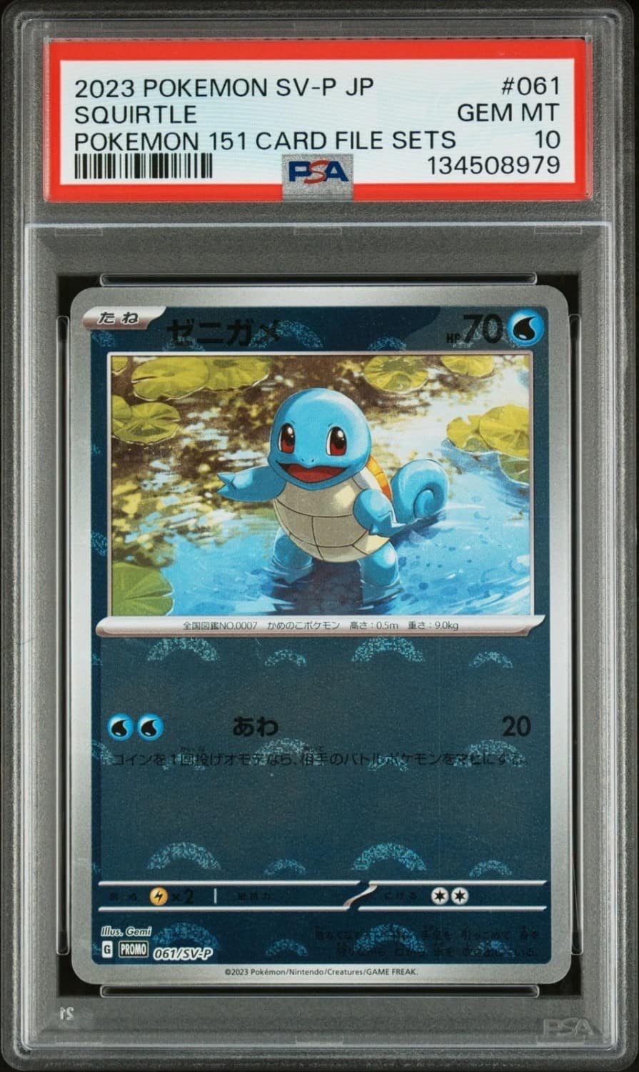 Squirtle
