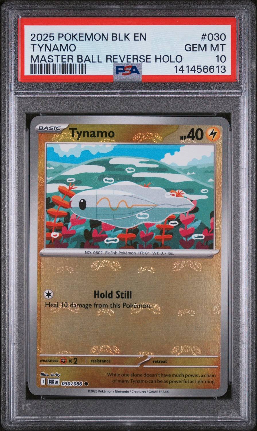 Tynamo