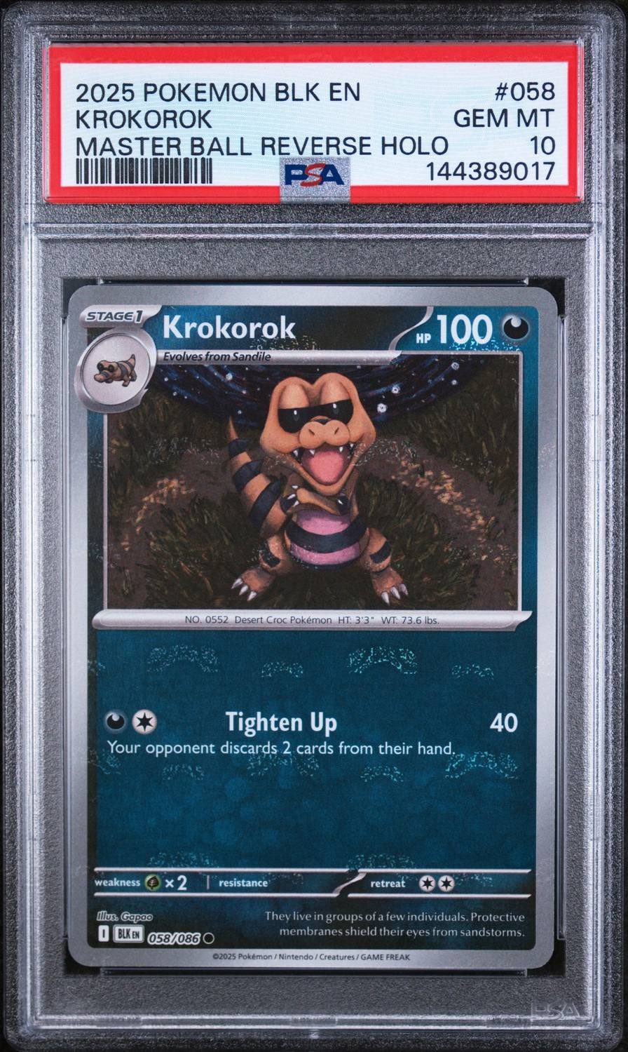 Krokorok