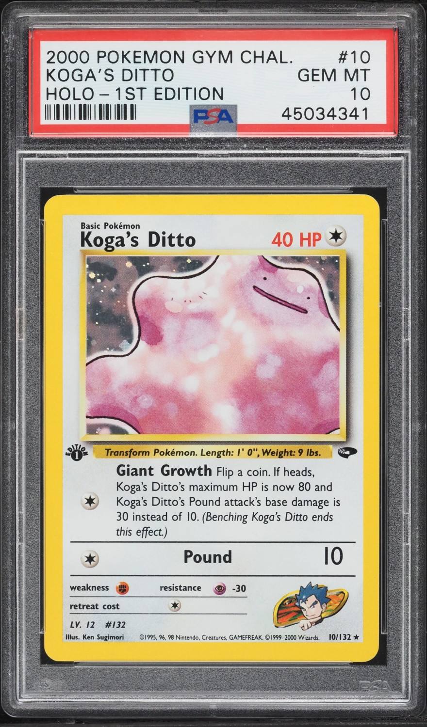 Koga'S Ditto