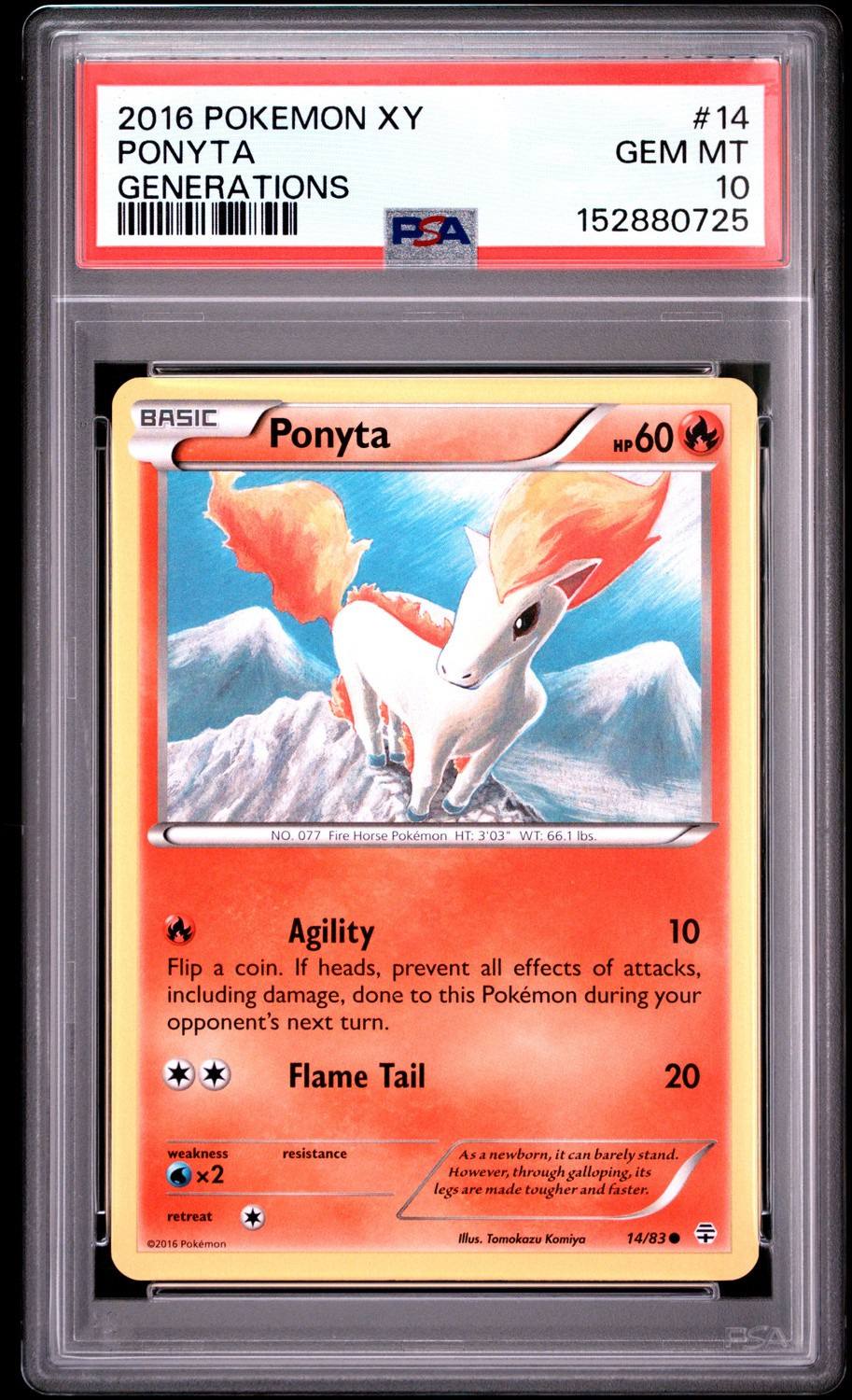 Ponyta