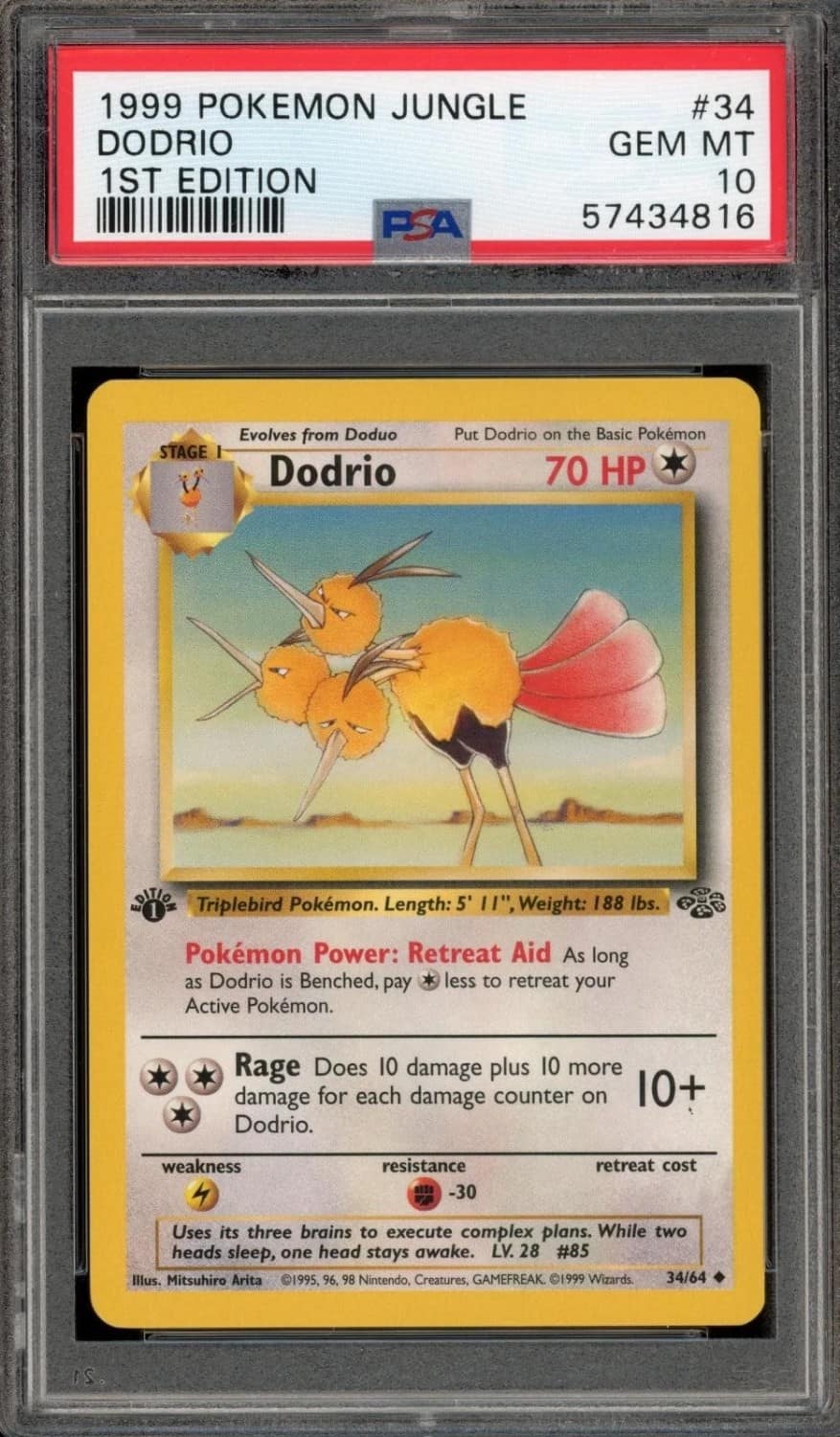 Dodrio
