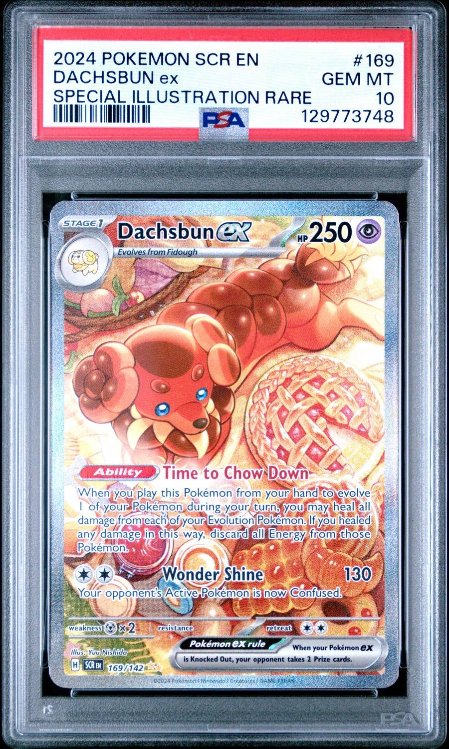Dachsbun Ex