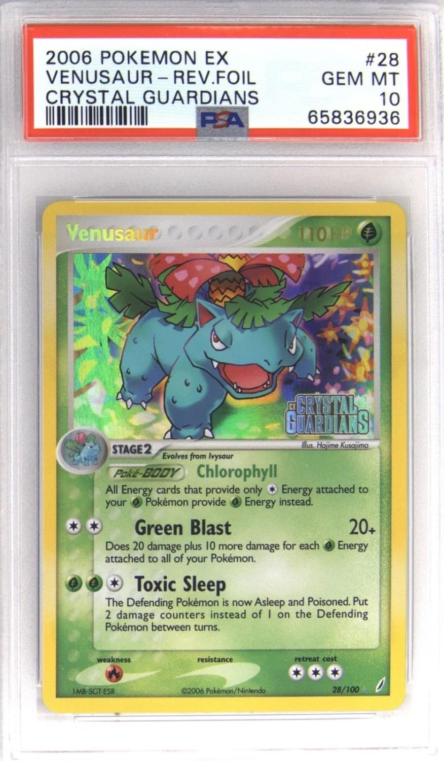 Venusaur R